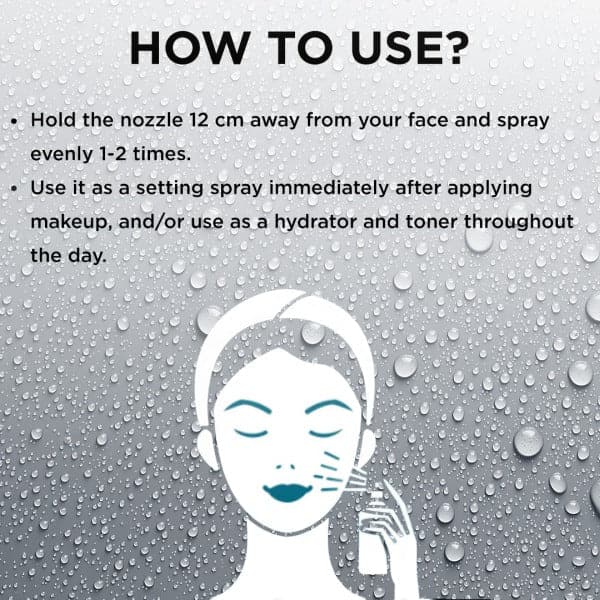 Colorbar Stay The Day Finishing Mist (100ml)