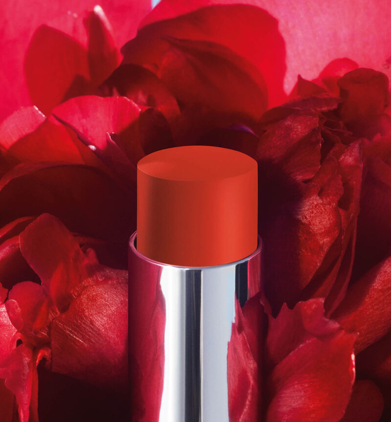DIOR Rouge DIOR Forever Stick (647) Forever Feminine (3.2g)