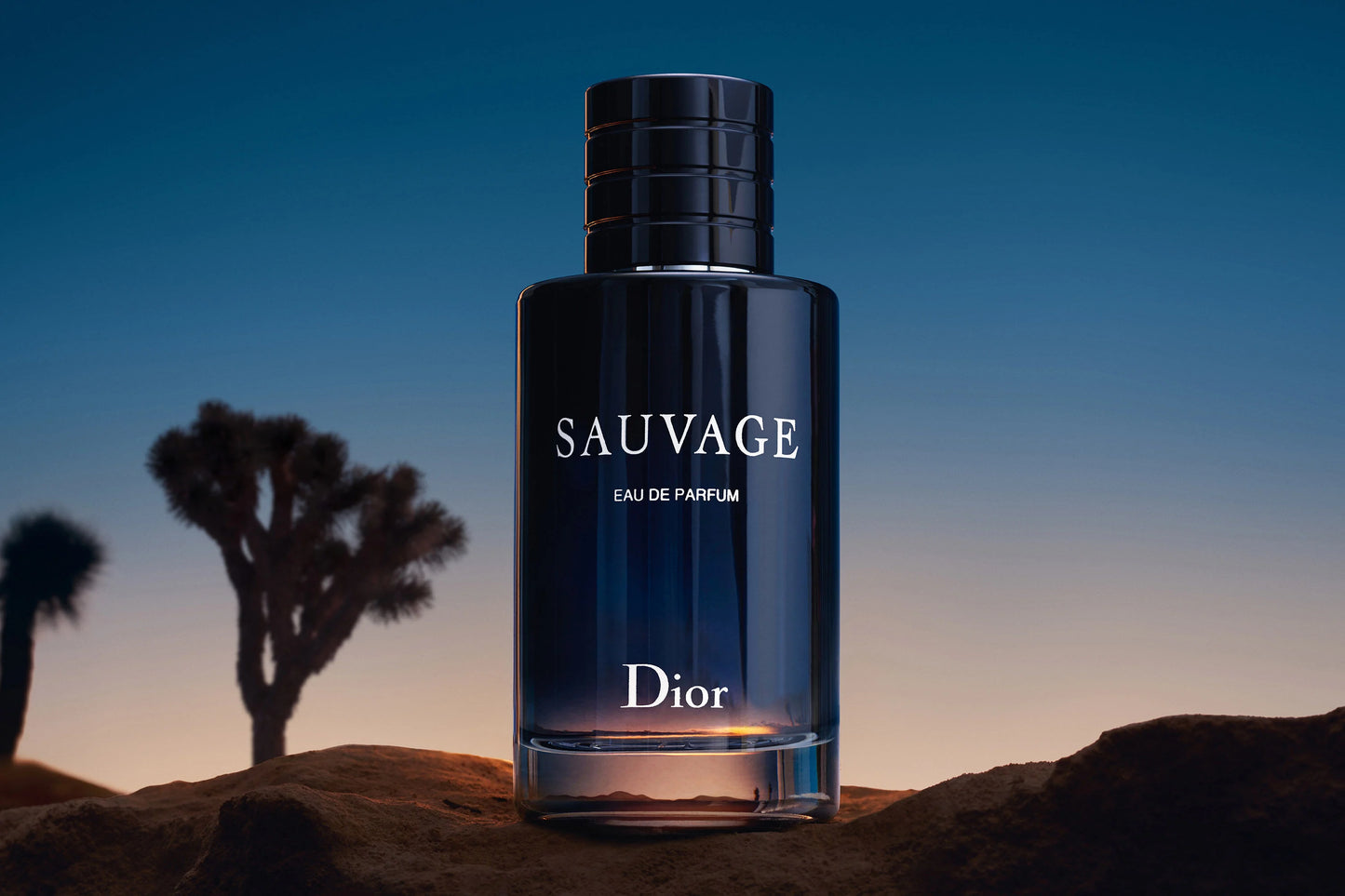 Dior SAUVAGE Eau de Parfum (200ml)