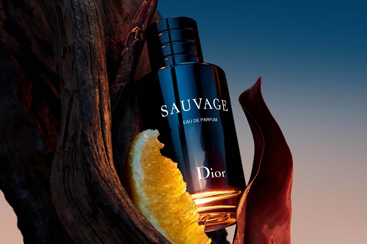 Dior SAUVAGE Eau de Parfum (200ml)