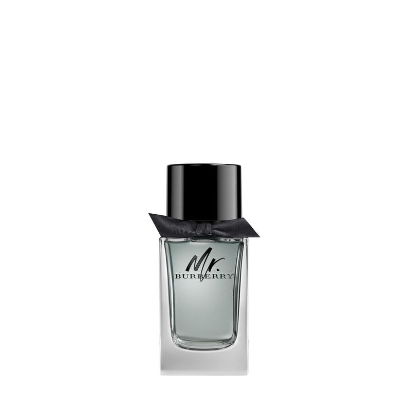 Burberry Mr. Burberry Eau De Toilette (100ml)