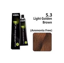 L'Oréal Professionnel INOA 60g