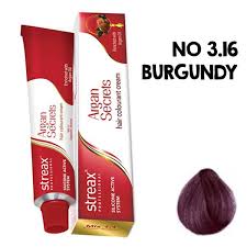 Streax Professional Argan Secrets Hair Colourant Cream 60g