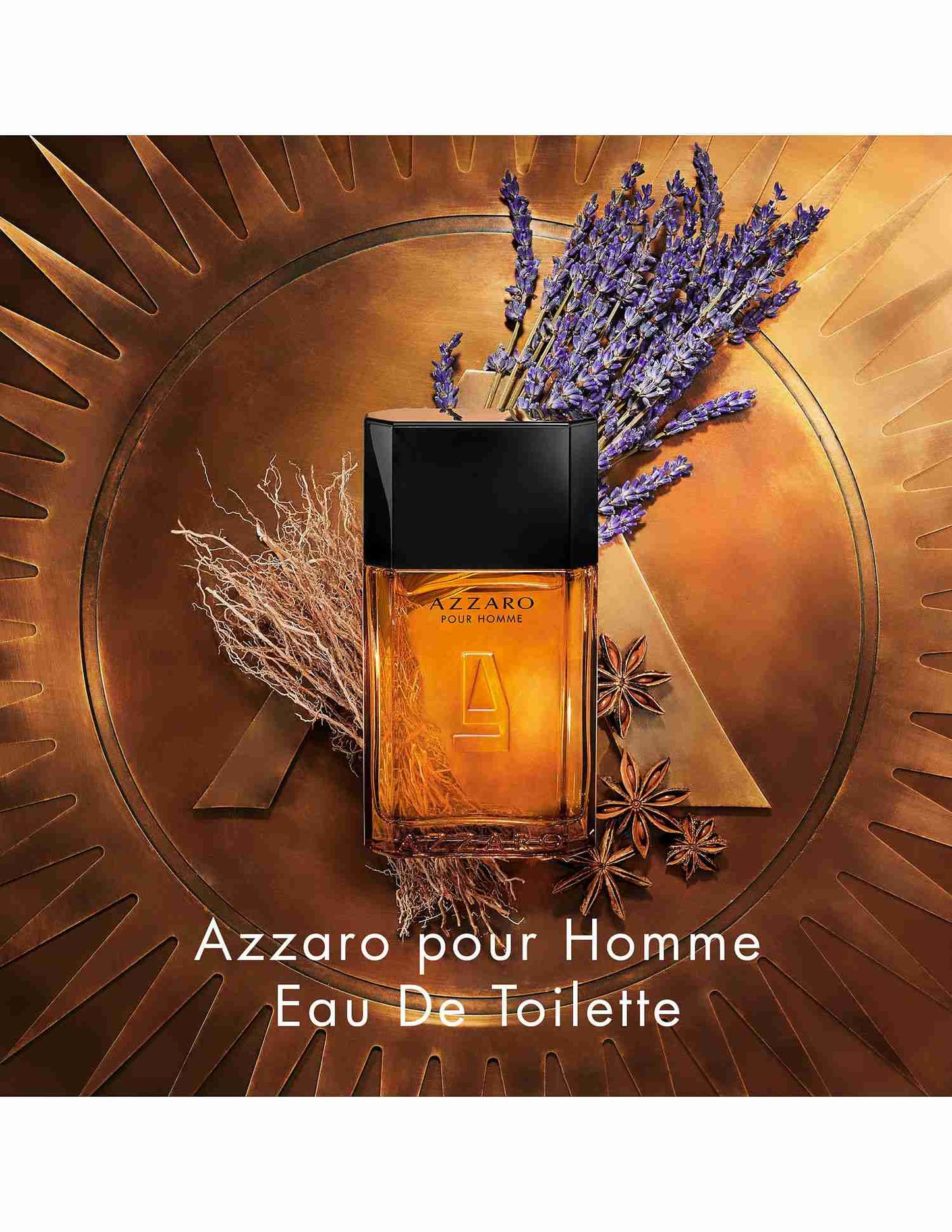 AZZARO Pour Homme Eau De Toilette (100ml)