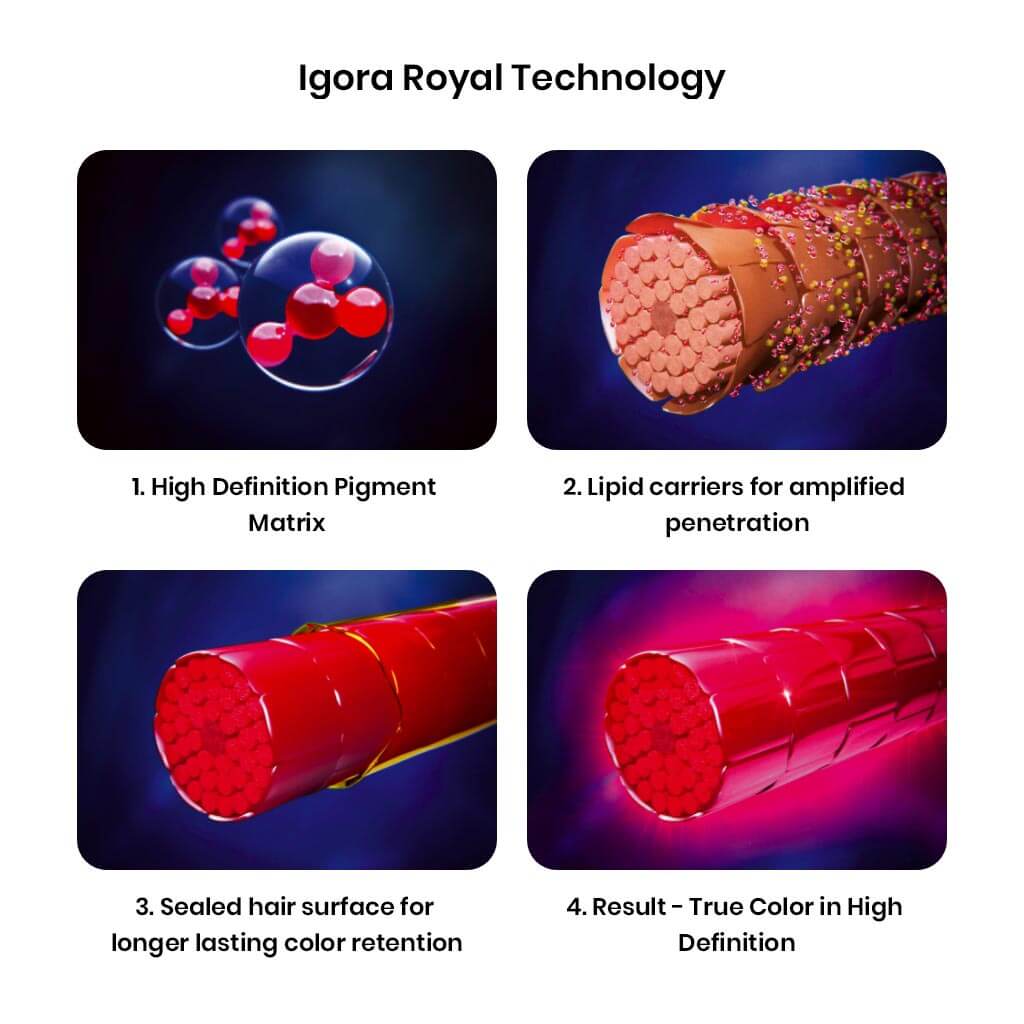 Schwarzkopf Professional Igora Royal Hair Color 60ml