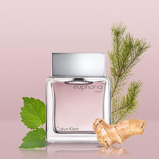 Calvin Klein Euphoria for Men Eau De Toilette (100ml)